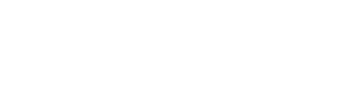 PDL International